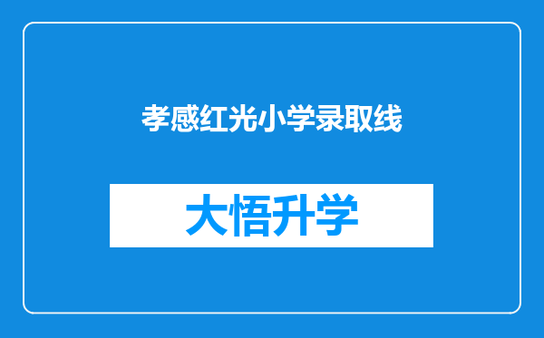 孝感红光小学录取线