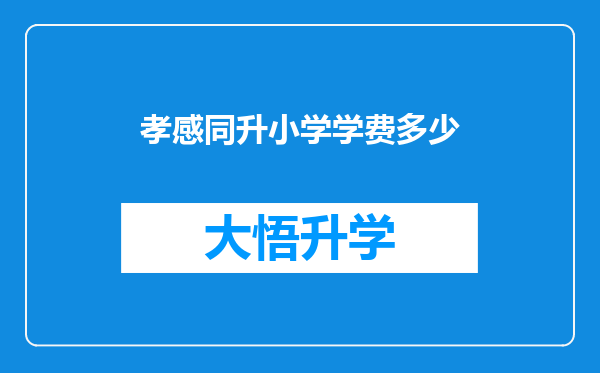 孝感同升小学学费多少