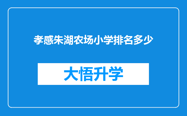 孝感朱湖农场小学排名多少