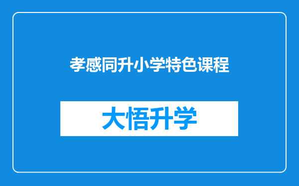 孝感同升小学特色课程