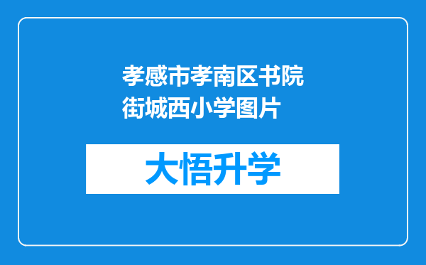 孝感市孝南区书院街城西小学图片