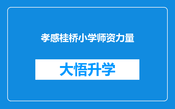 孝感桂桥小学师资力量