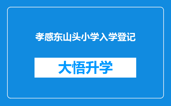 孝感东山头小学入学登记