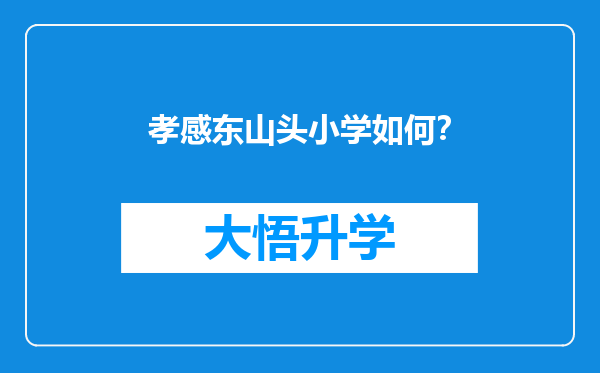 孝感东山头小学如何？