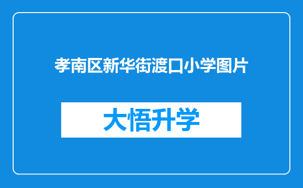 孝南区新华街渡口小学图片