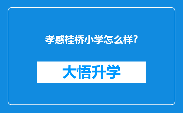 孝感桂桥小学怎么样？