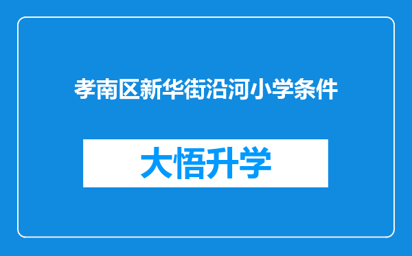 孝南区新华街沿河小学条件