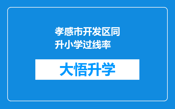 孝感市开发区同升小学过线率