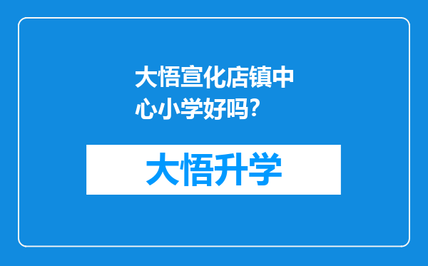 大悟宣化店镇中心小学好吗？