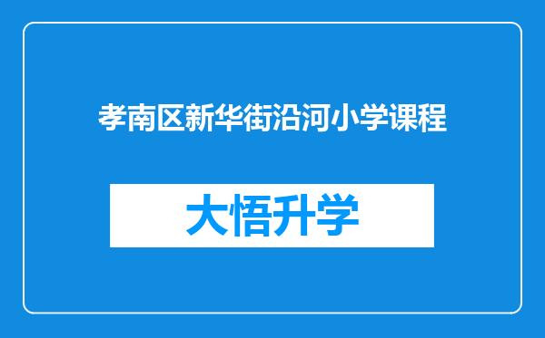 孝南区新华街沿河小学课程