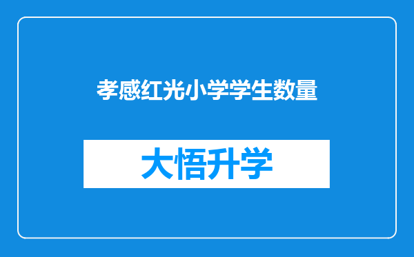 孝感红光小学学生数量