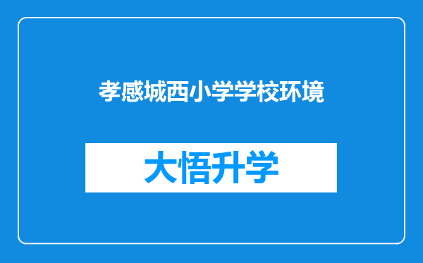 孝感城西小学学校环境