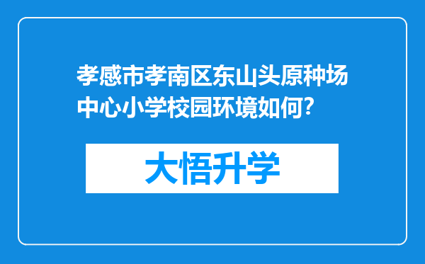 孝感市孝南区东山头原种场中心小学校园环境如何？