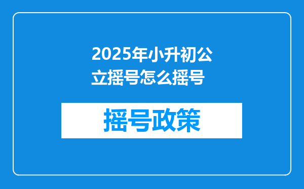 2025年小升初公立摇号怎么摇号