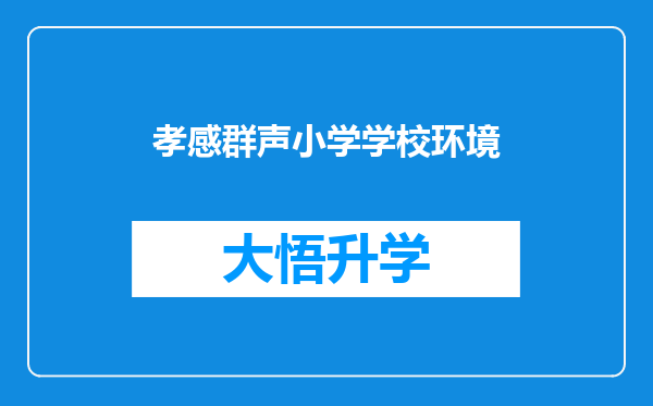 孝感群声小学学校环境