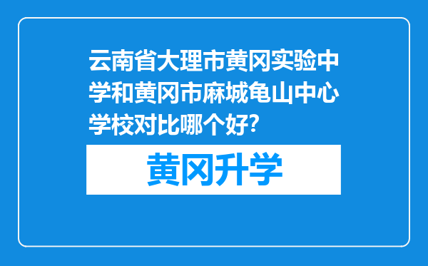 云南省大理市黄冈实验中学和黄冈市麻城龟山中心学校对比哪个好？