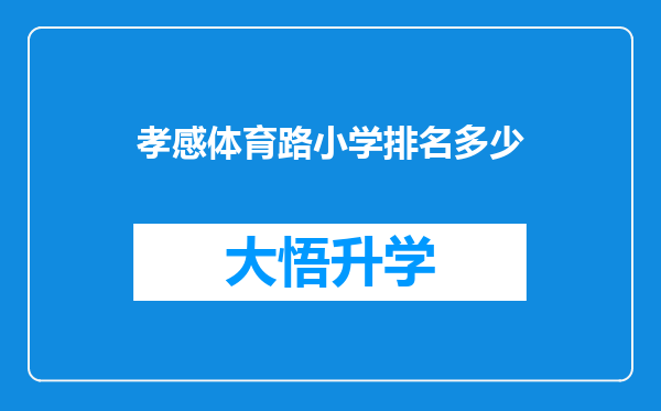 孝感体育路小学排名多少