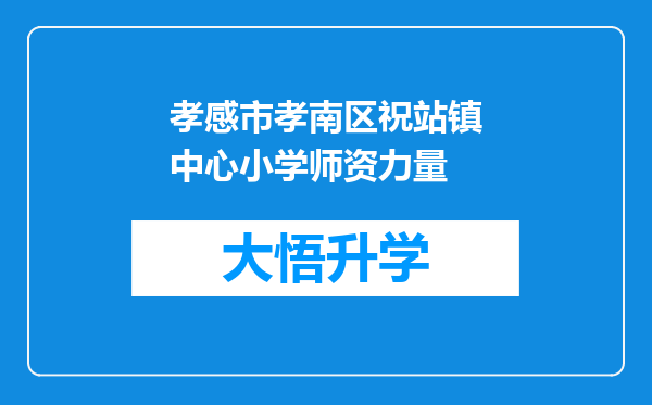 孝感市孝南区祝站镇中心小学师资力量