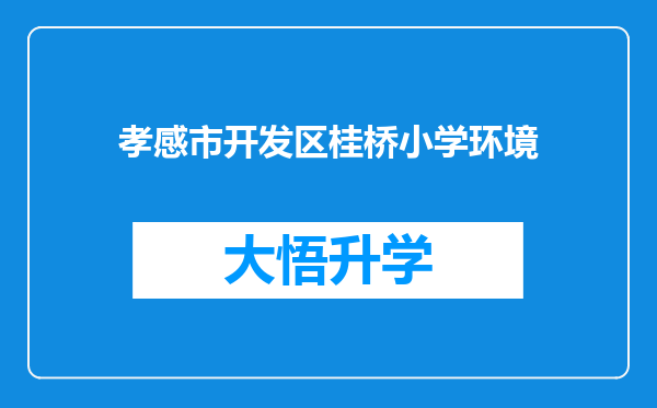 孝感市开发区桂桥小学环境