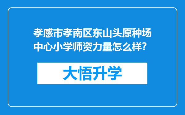 孝感市孝南区东山头原种场中心小学师资力量怎么样？