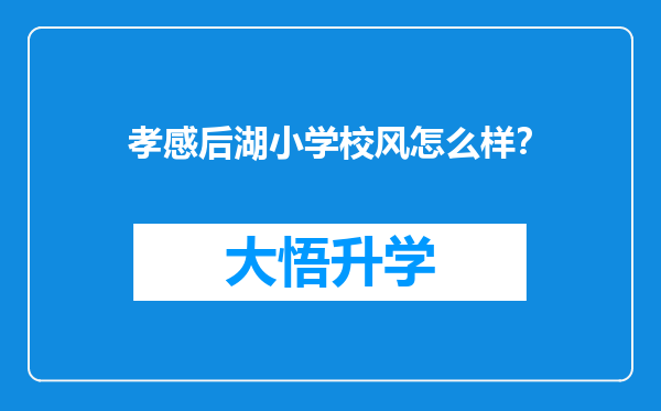 孝感后湖小学校风怎么样？