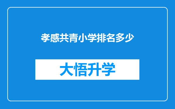 孝感共青小学排名多少