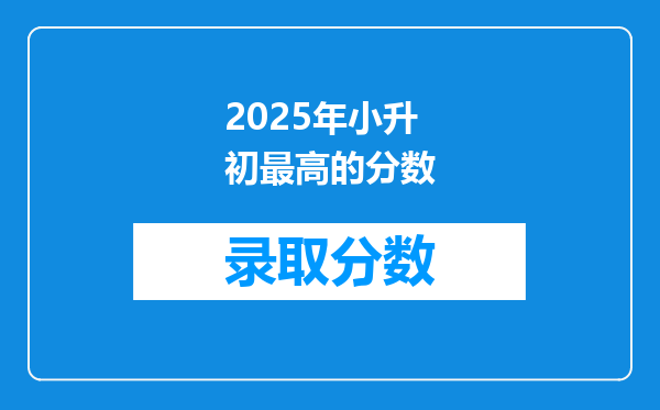 2025年小升初最高的分数