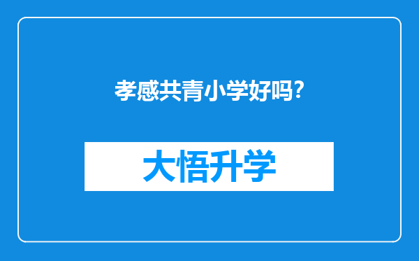 孝感共青小学好吗？