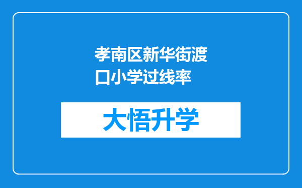 孝南区新华街渡口小学过线率