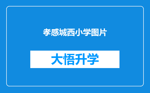 孝感城西小学图片