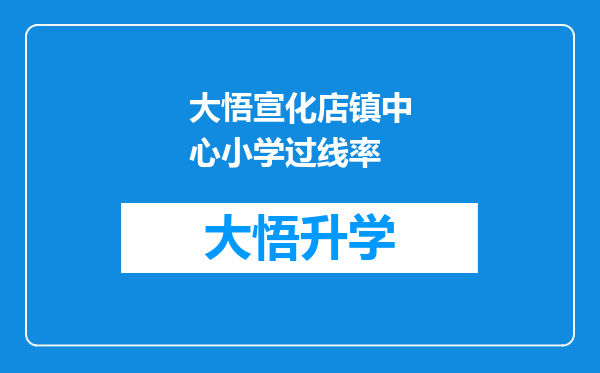 大悟宣化店镇中心小学过线率