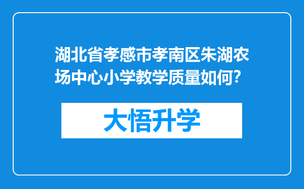 湖北省孝感市孝南区朱湖农场中心小学教学质量如何？