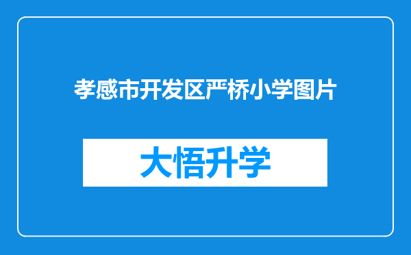 孝感市开发区严桥小学图片