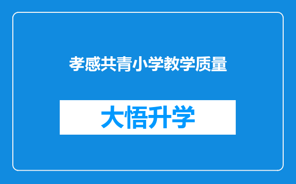 孝感共青小学教学质量