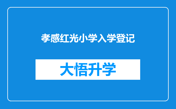 孝感红光小学入学登记