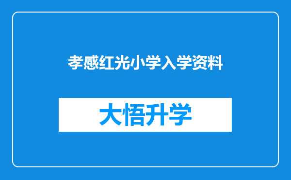 孝感红光小学入学资料