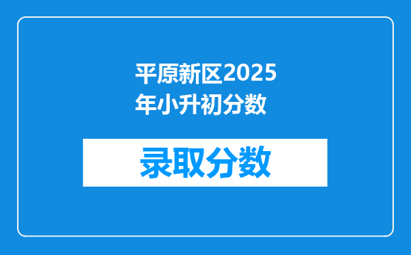 平原新区2025年小升初分数