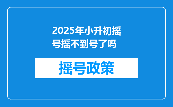 2025年小升初摇号摇不到号了吗