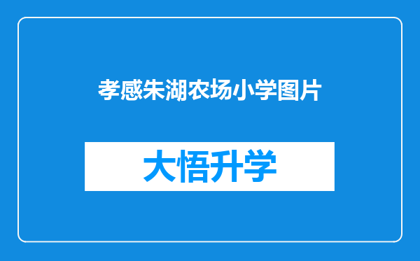 孝感朱湖农场小学图片