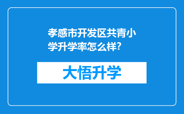 孝感市开发区共青小学升学率怎么样？