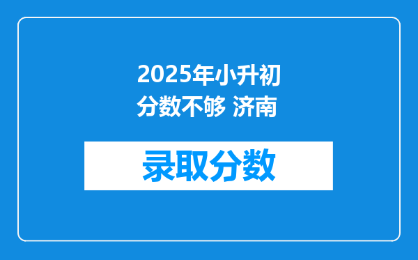 2025年小升初分数不够 济南