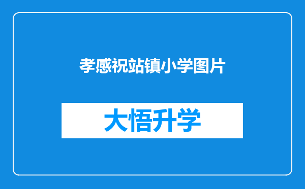 孝感祝站镇小学图片