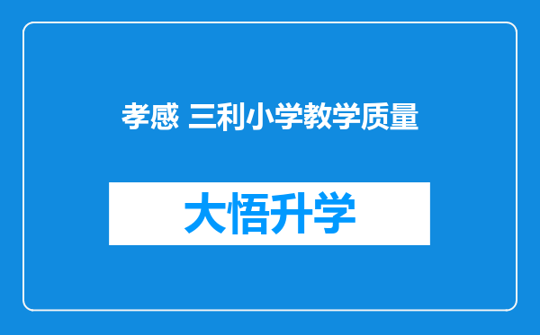 孝感 三利小学教学质量