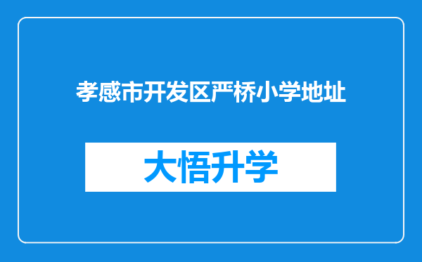 孝感市开发区严桥小学地址