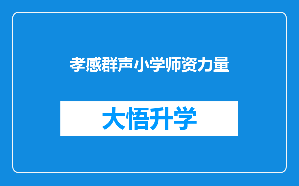 孝感群声小学师资力量