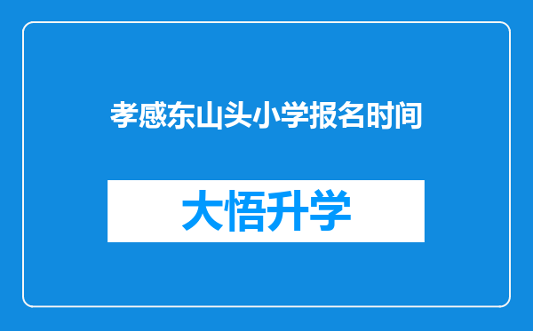 孝感东山头小学报名时间