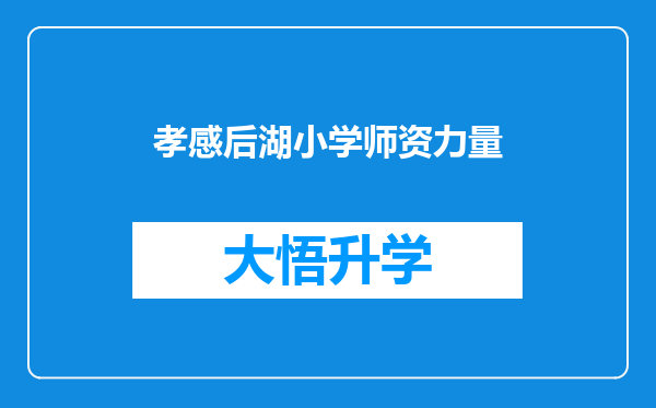 孝感后湖小学师资力量