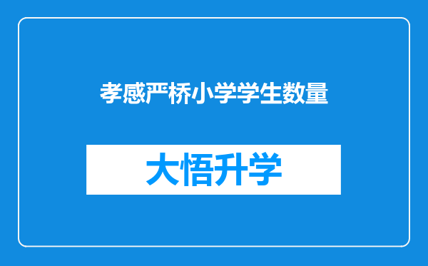 孝感严桥小学学生数量