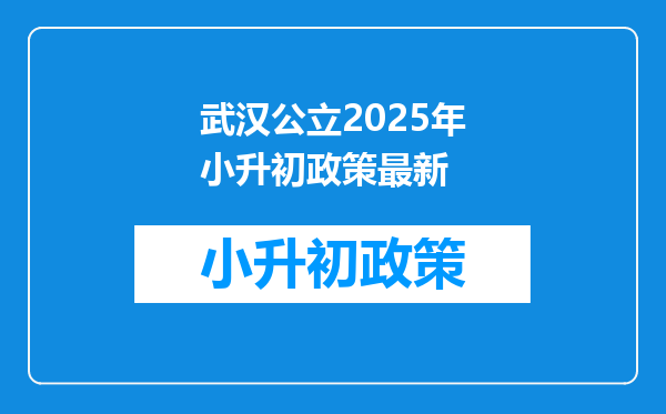 武汉公立2025年小升初政策最新