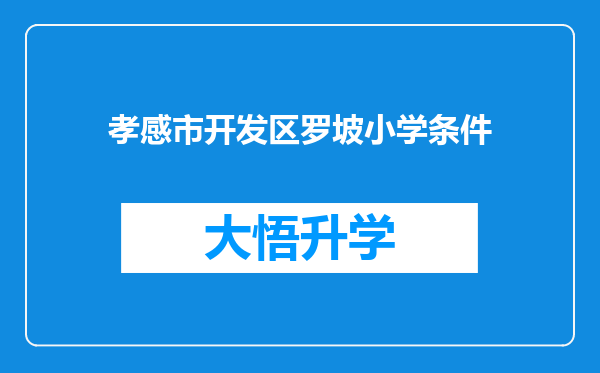 孝感市开发区罗坡小学条件